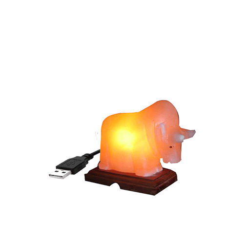 Himalayan Salt Bull Fighter Shape Mini Usb Lamp