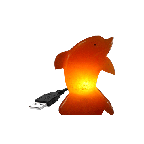 Himalayan Salt Dolphin Shape Mini Usb Lamp